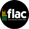 Flac playback support