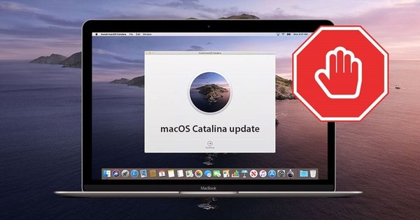 final cut pro compatible with catalina